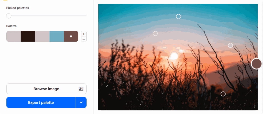 Tool to extract color palettes from Coolors photos