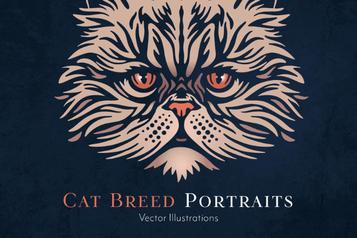 Vector drawing of a cat. Introduction to the article: What is vector illustration.