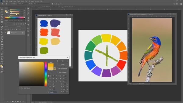 Criação de paleta de cores a partir de uma imagem de pássaro, usando o círculo cromático, no Photoshop