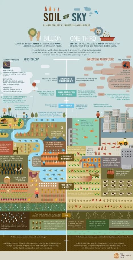 exemplo de infográfico sobre agroecologia e agricultura industrial