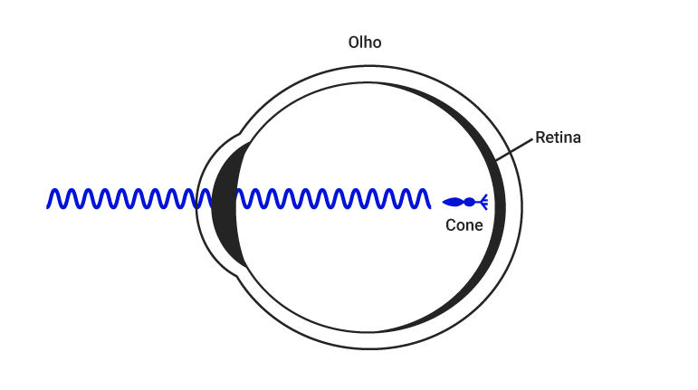 Desenho esquemático mostrando onda eletromagnética azul entrando no olho humano e atingindo o cone azul na retina.