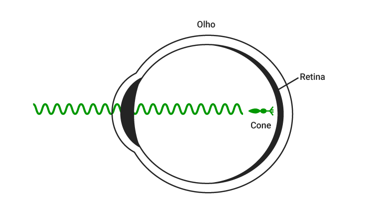 Desenho esquemático mostrando onda eletromagnética verde entrando no olho humano e atingindo o cone verde na retina.