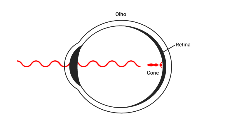 Desenho esquemático mostrando onda eletromagnética vermelha entrando no olho humano e atingindo o cone vermelho na retina.