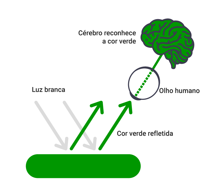 Esquema mostrando duas setas brancas representando a luz branca incidindo sobre uma superfície ver. Setas verdes refletindo somente a luz verde, atingindo o olho humano e cérebro reconhecendo a cor como verde.