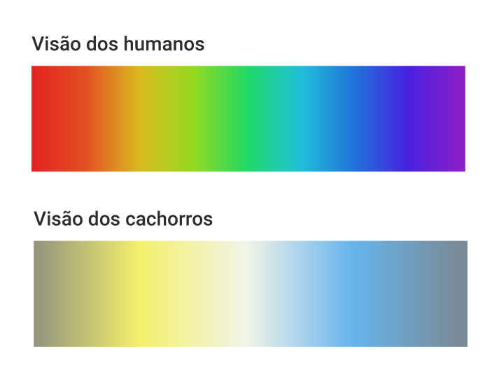 Espectro de cor visível pelos humanos e espectro de cor visível pelos cachorros.