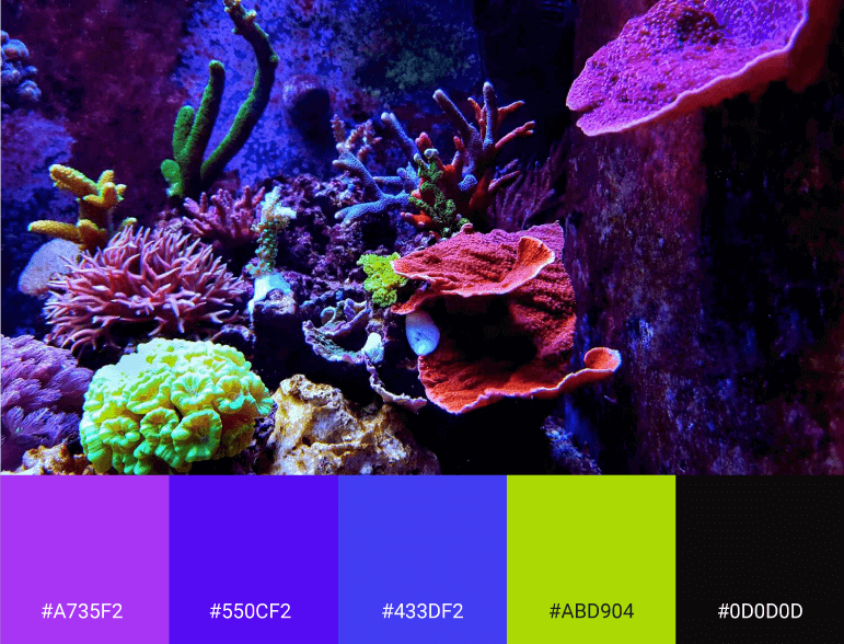 Paleta a partir de foto de corais com tons intensos e contrastantes.