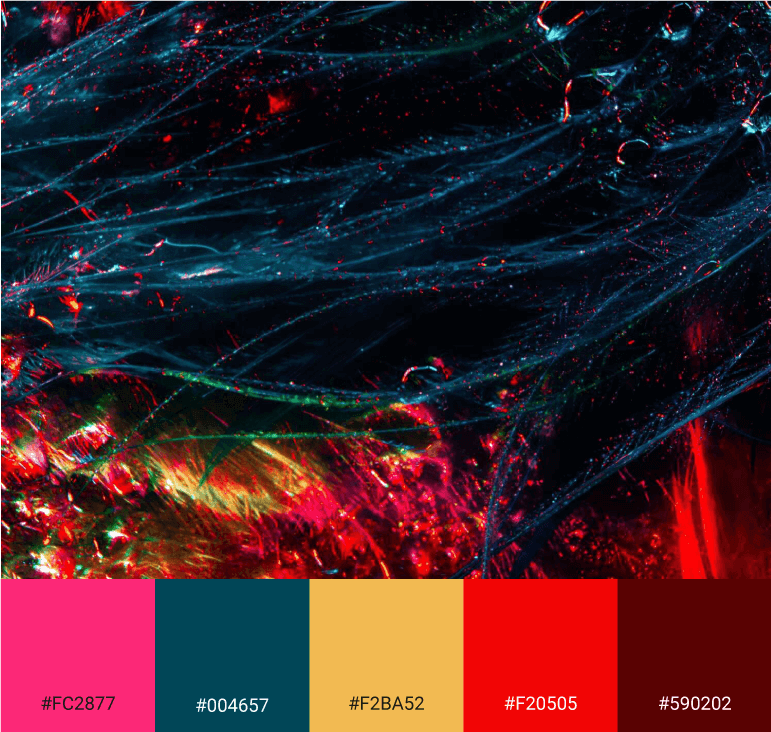 7 ideias de Paleta em cores complementares  cores complementares, cores,  combinações de cores