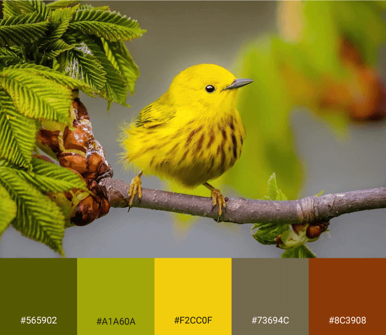 Paleta de cores a partir de imagem com verdes, amarelo, cinza e marrom.