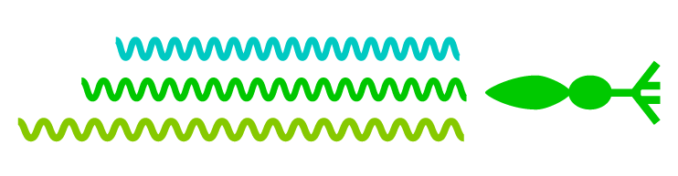 Desenho esquemático mostrando ondas verde, verde-azulada e verde-amarelada atingindo o cone verde dentro do olho humano.